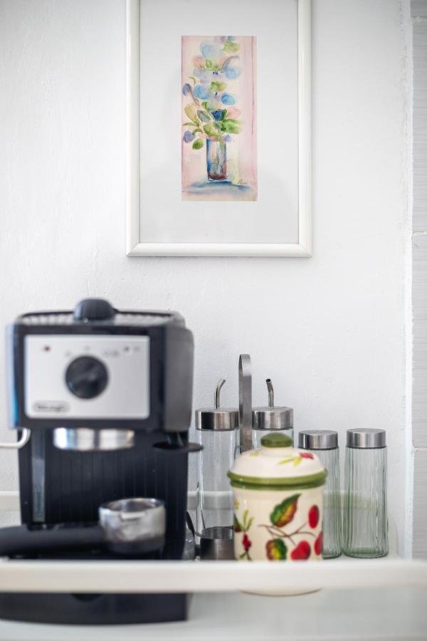 Apartment Villa Ahava Garden ドゥブロブニク エクステリア 写真