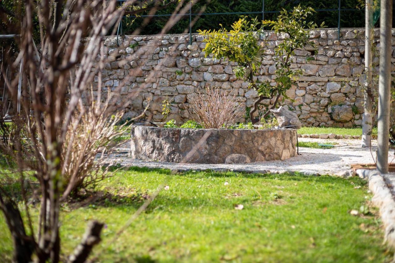 Apartment Villa Ahava Garden ドゥブロブニク エクステリア 写真